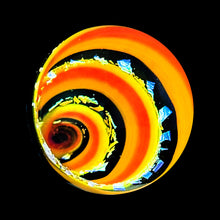 Vortex Orb B6