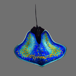 Stingrays