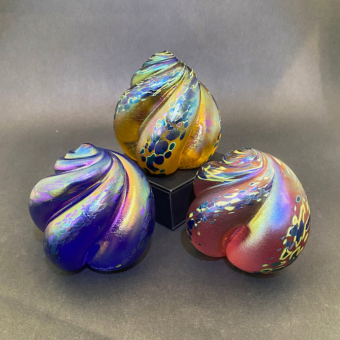 Shell Paperweights